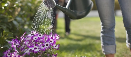 Citerne de récupération d’eau de pluie enterrée